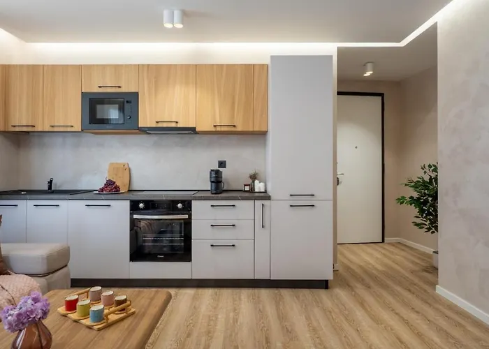 Apartament Manu Art Living Signature Victoriei *